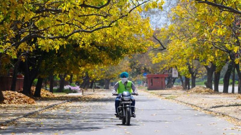 no rain in Chandigarh, increase in temperature news In hindi