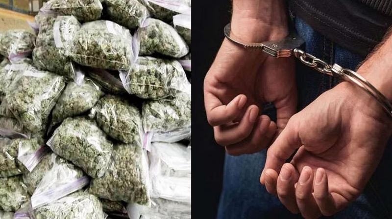 Two arrested for drug trafficking, more than 10 kg of ganja recovered