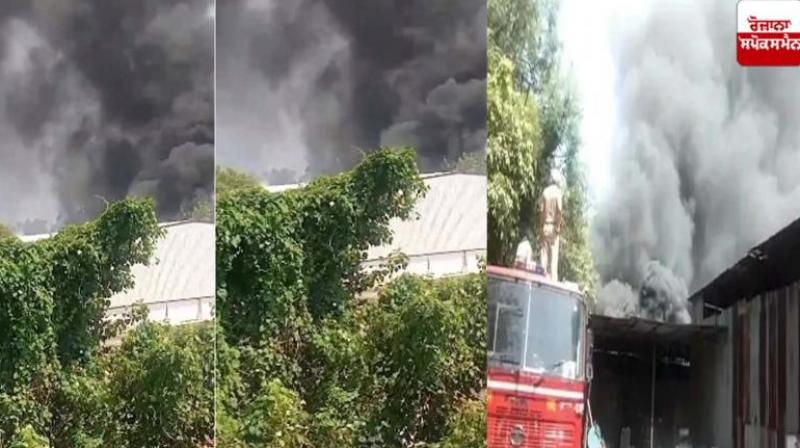 Fire broke out in a scrap warehouse in Chandigarh