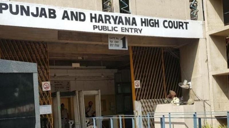 Punjab And Haryana HC comment in divorce case, 'Wives take money even after getting husband punished'