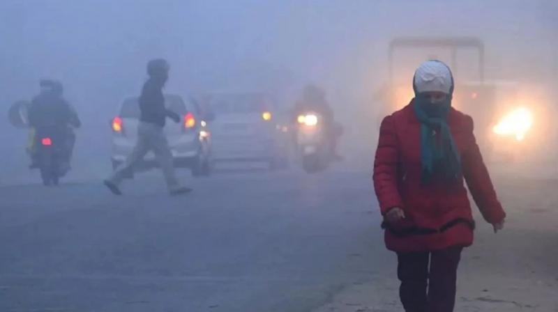 Punjab Weather Update 28 November fog alert News In Hindi