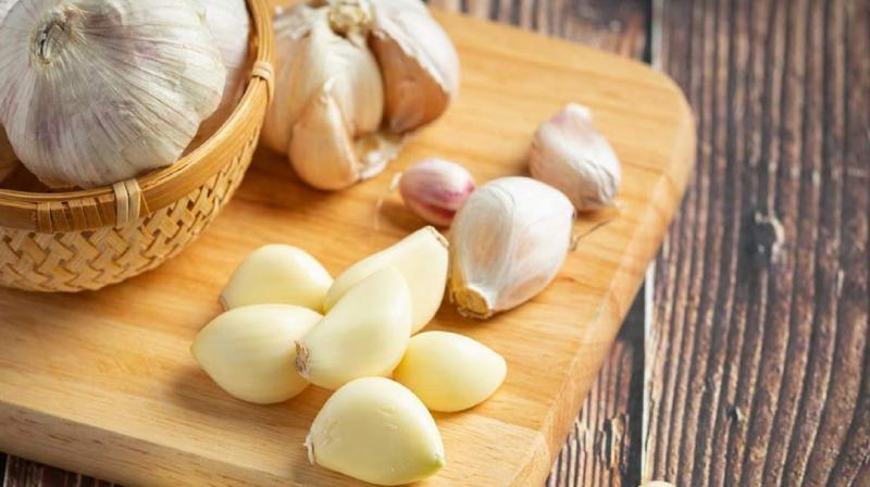 Garlic is beneficial for the body News in hindi