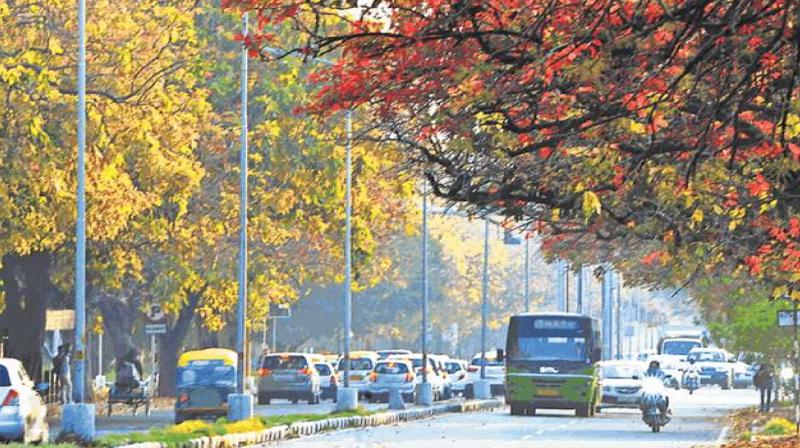 Increase in temperature in Punjab, weather update Punjab-Chandigarh news