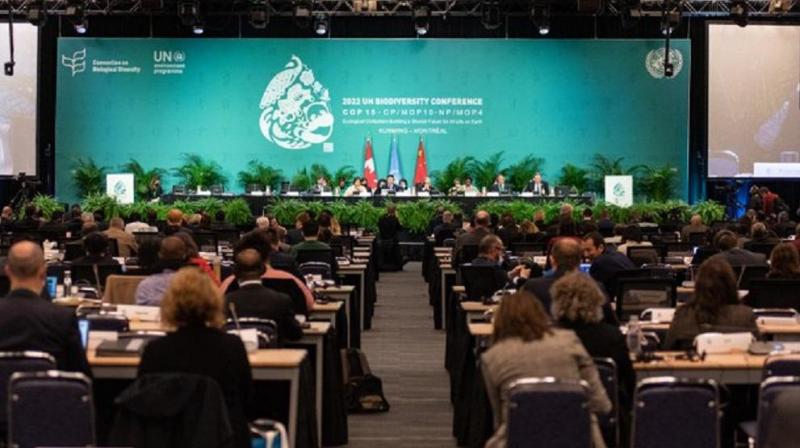 COP15: India demands creation of dedicated fund for conservation of biodiversity