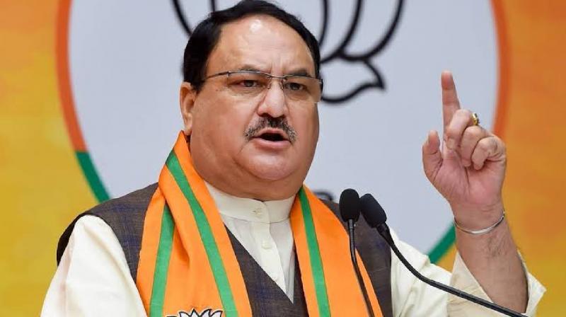 Nadda big statement, BJP will win more than 370 seats news In hindi