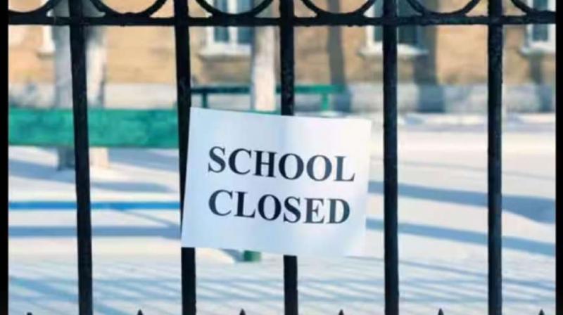 Schools closed in Kashmir till 30th July news in hindi