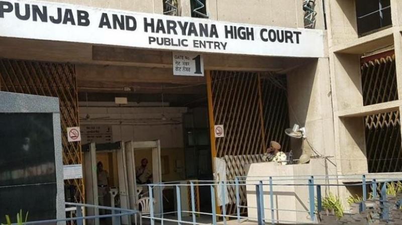 Punjab-Haryana High Court orders FIR against those who deny rape allegations News In Hindi