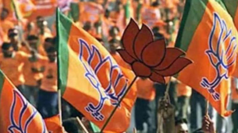 Haryana Election 2024: BJP released second list in Haryana, fielded Captain Bairagi against Vinesh Phogat