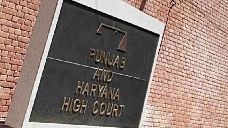 Punjab and Haryana HC Suspicion of religious conversion under guise of fake marriage investigation handed over to CBI