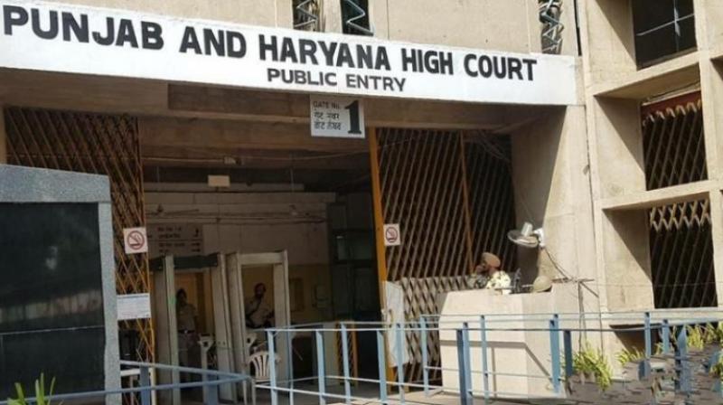 'Female feticide is a serious problem, especially in Haryana and Punjab', Punjab and Haryana High Court comments