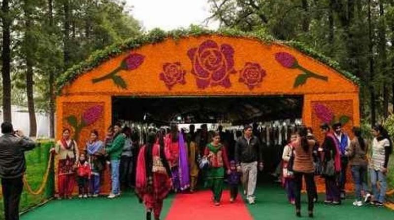 52nd Rose Festival starting from today in Chandigarh News In Hindi