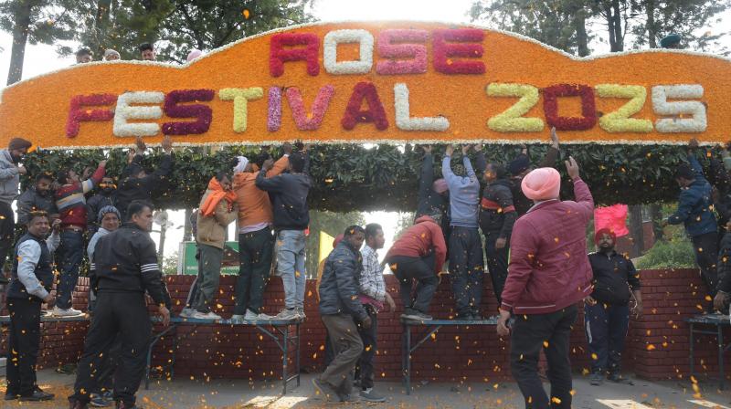 53rd Rose Festival begins, Himachal nati king Kuldeep Sharma news in hindi