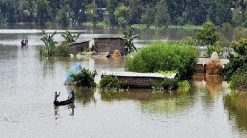 Flood situation in Assam still grim, 4.88 lakh people affected