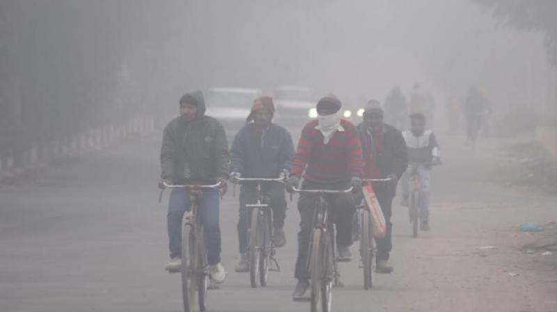 Fog prevails in Chandigarh, visibility on roads reduced news in hindi