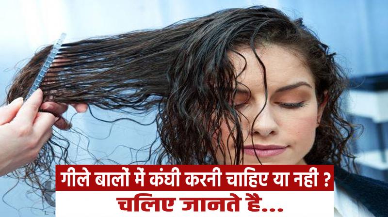 Should we comb wet hair or not? Let's know...