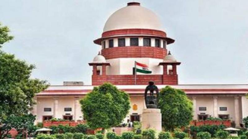 Supreme Court will hear Rana Ayyub's petition on January 25