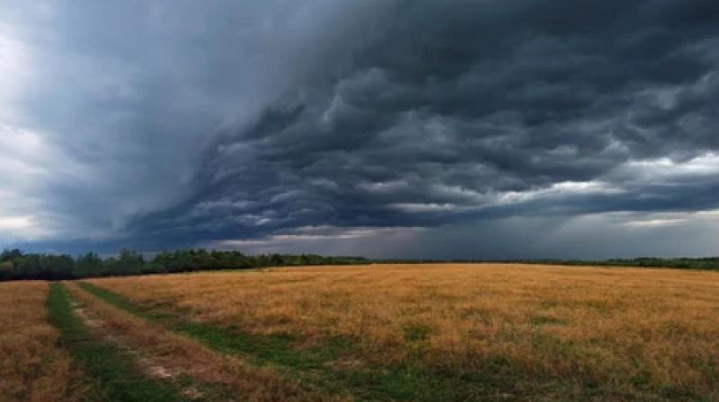 Monsoon Will Soon Be Active In Gujarat News In Hindi