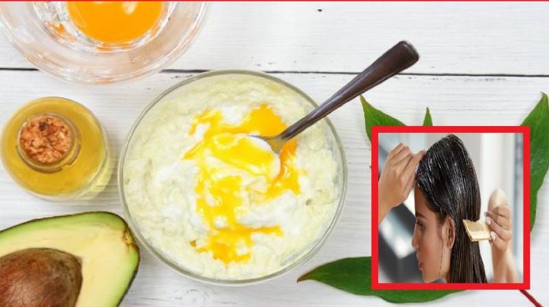 many benefits of applying curd on hair, say goodbye to dandruff News in hindi