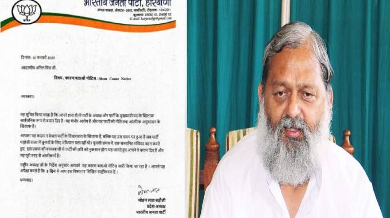 State BJP leadership sent show cause notice to Haryana Minister Anil Vij news in hindi