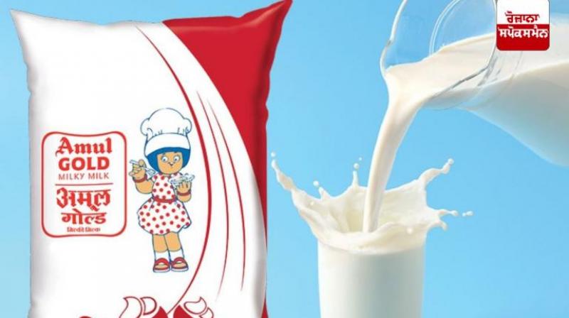 Amul Milk Becomes Cheaper News In Hindi