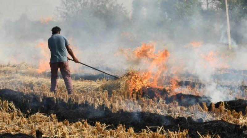 Pollution increased 4 times in 10 days in Punjab due to stubble burning news in hindi