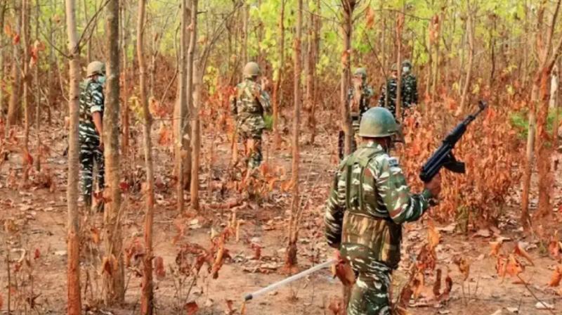 3 Naxalites killed in encounter with security forces in Bijapur news in hindi