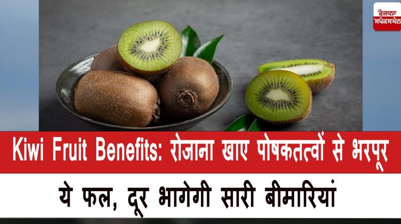 Eat 1 kiwi fruit rich in nutrients daily 