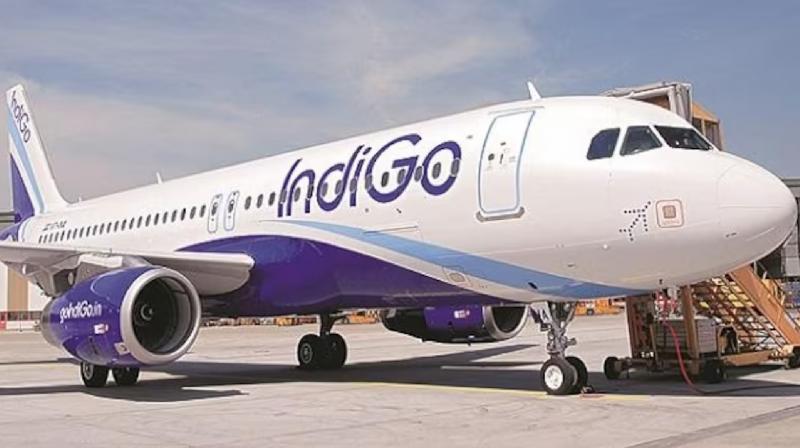 People upset at Bengaluru airport due to glitch in Indigo system news in hindi