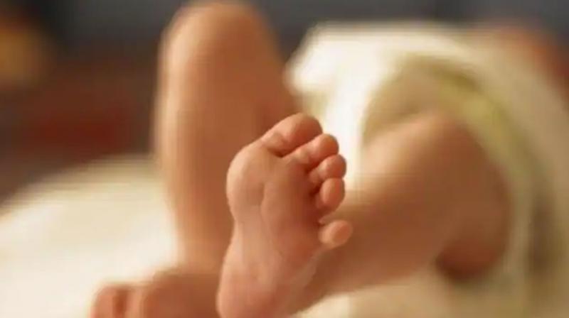 Three-day-old newborn girl buried alive by mother, girl dies(प्रतीकात्मक फोटो )