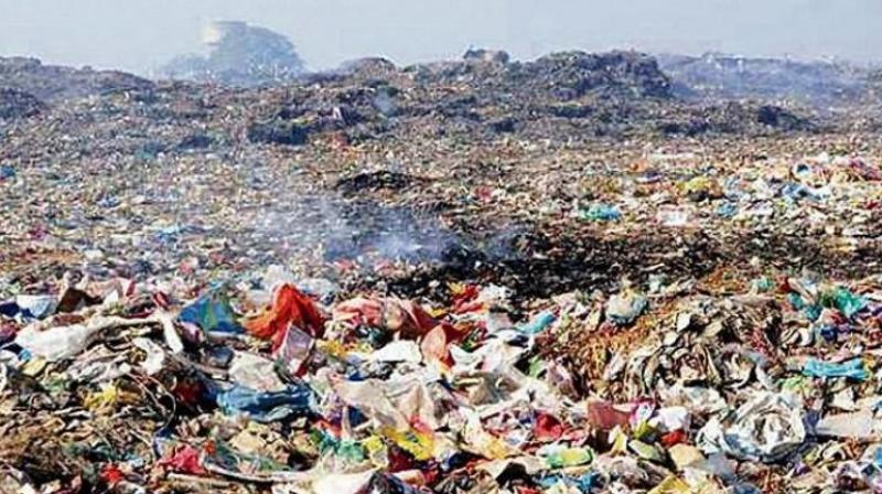 NGT seeks time bound plan to clean Bhaktanwala garbage dump in Amritsar news in hindi