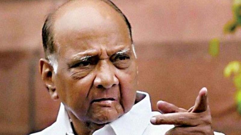 Sharad Pawar refused to take Z+ security news in hindi