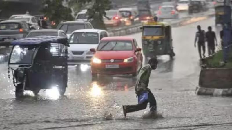 Punjab Weather Update  Today News In Hindi IMD predict heavy rain alert today