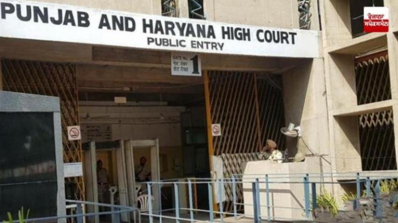 Punjab-Haryana HC notice AAP MLA Kulwant Singh Bazigar News In  Hindi