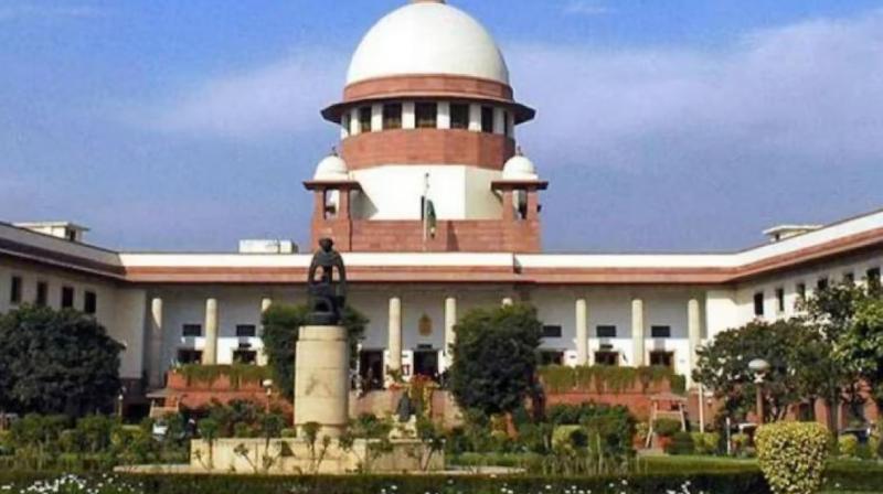 Kolkata Doctor Case: Supreme Court directs Wikipedia to remove name and photo of rape-murder victim 