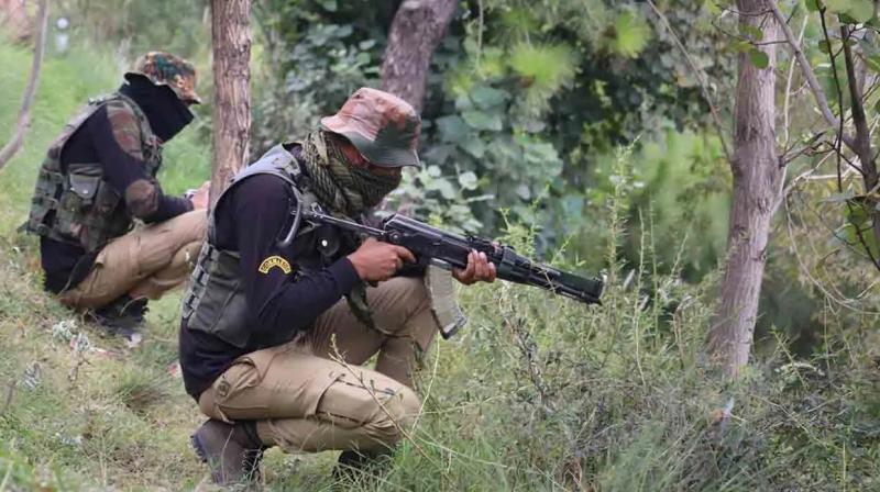 Operation to trace suspected terrorists continues in Jammu and Kashmir's Rajouri