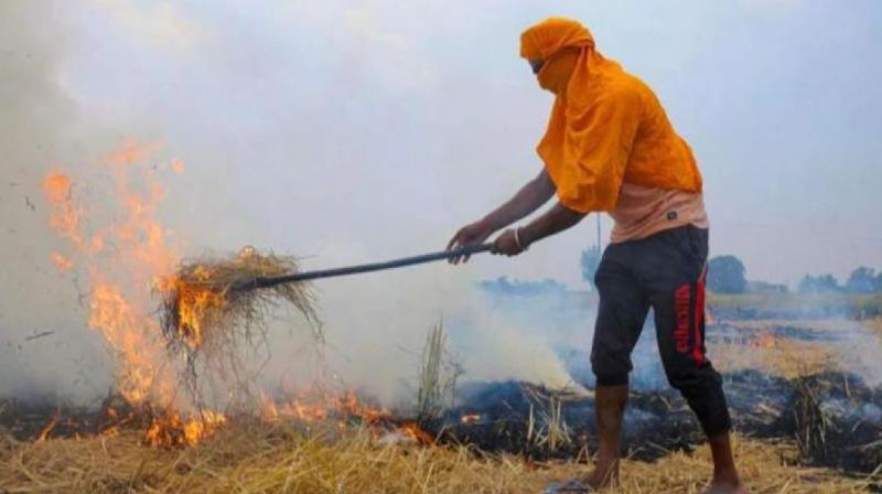 List made of 130 villages that burn the most stubble, Punjab news in hindi