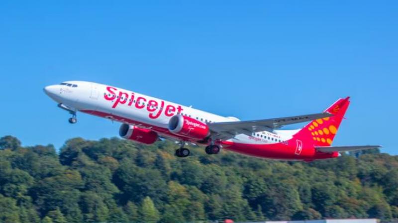 SpiceJet will add 10 aircraft to its fleet by next month News in Hindi