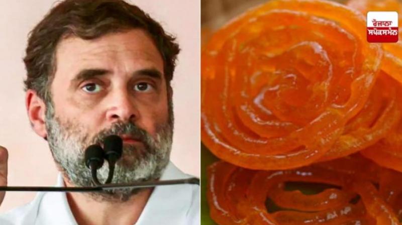 Jalebi trending on social media Haryana election results News in hindi