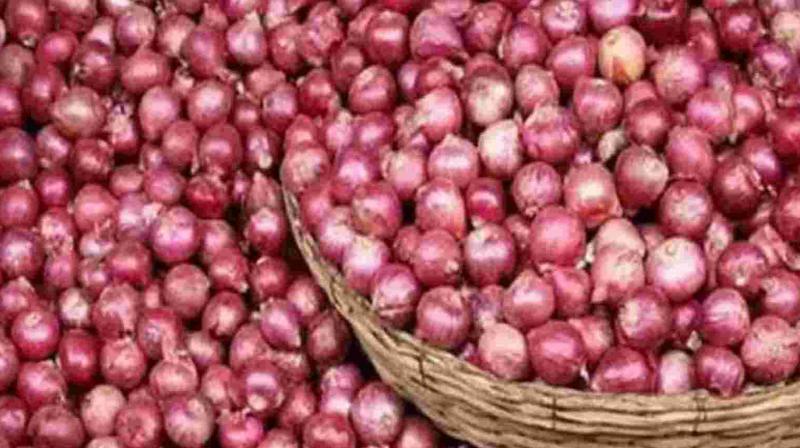 Government removes duty on export of 'Rose' onions from Bengaluru