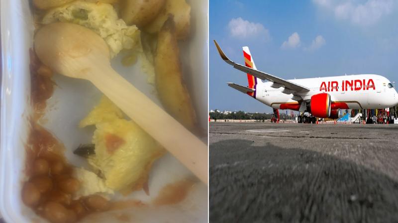 Air India passenger finds cockroach in food during flight news  in hindi