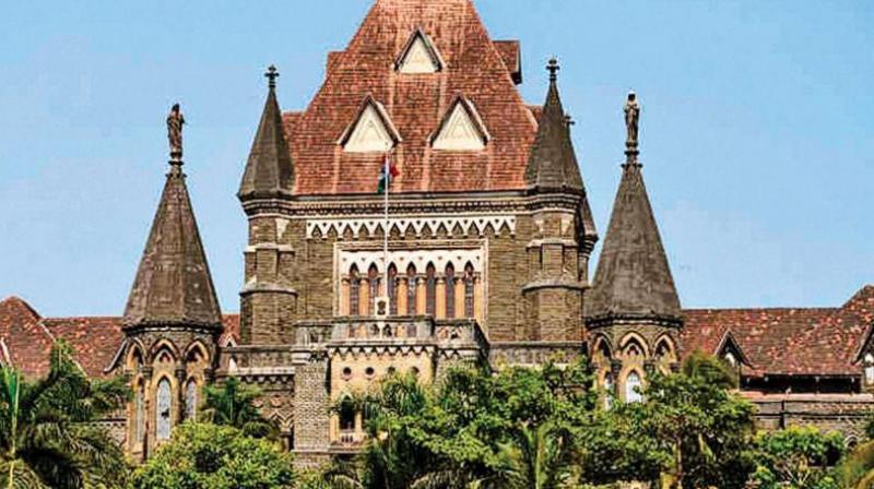 Bombay high court News in hindi