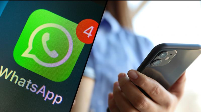 WhatsApp New In-App Dialer Feature News in hindi