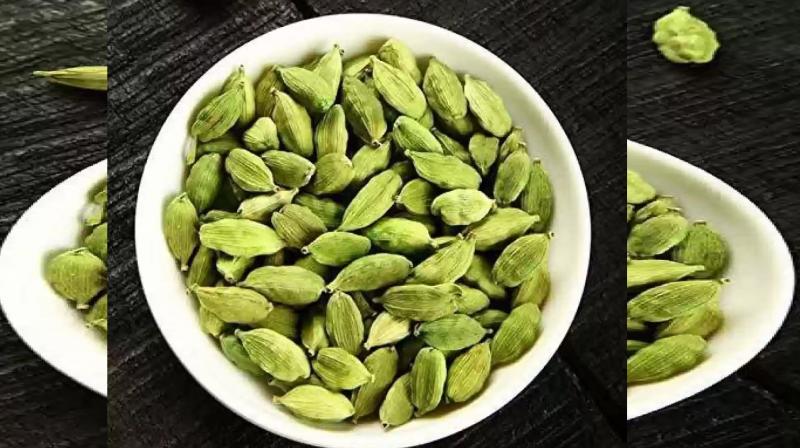 Amazing Benefits of Chewing Green Cardamom news in Hindi