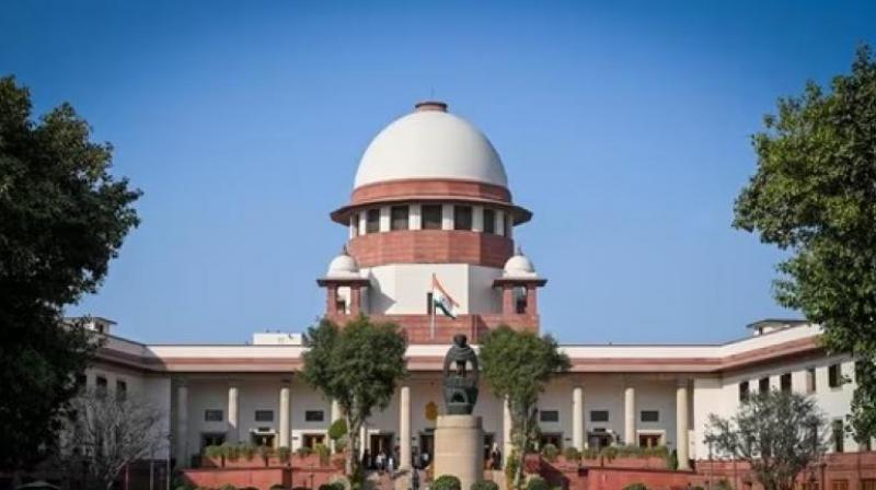 SC rejected the petition of Punjab govt against decision of High Court news In hindi