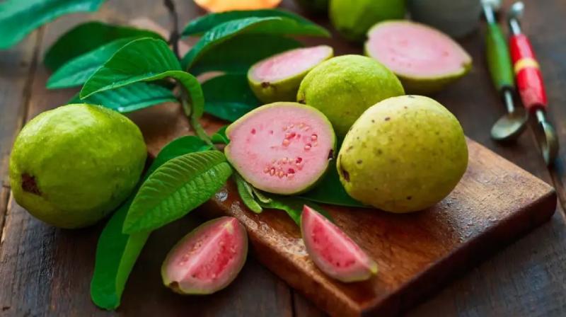 Guava keeps the brain healthy, know its health benefits news in hindi