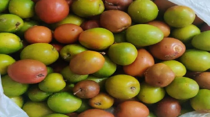 jujube is rich in nutrients, eating it will have many health benefits 