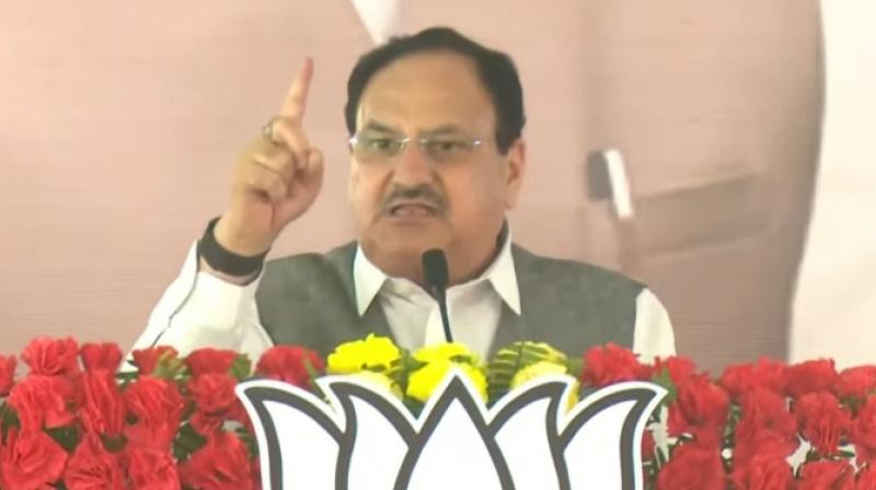  Jharkhand People overthrow JMM-Congress government: JP Nadda news In Hindi