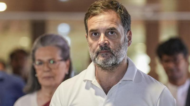 Congress Working Committee urges Rahul Gandhi to become Leader of Opposition