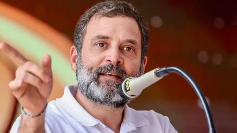 Market of hatred closed in Karnataka, shops of love opened: Rahul