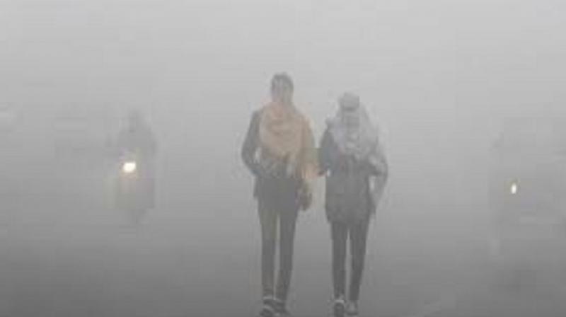 Accidents due to fog in Haryana six dead News In Hindi